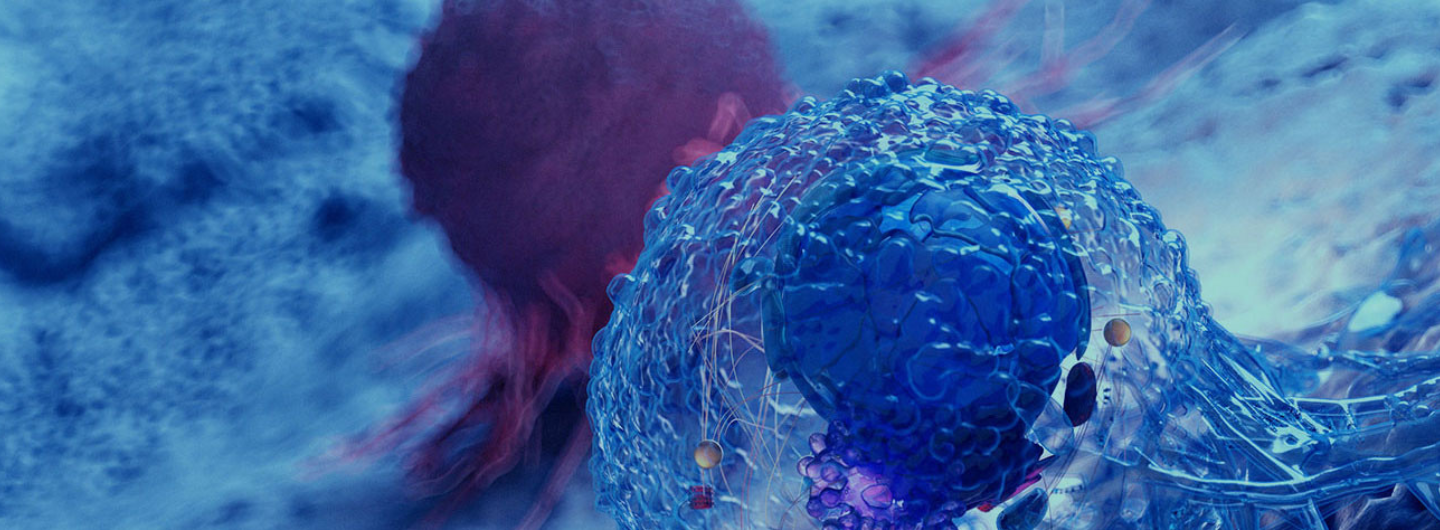 Cancer Control Program