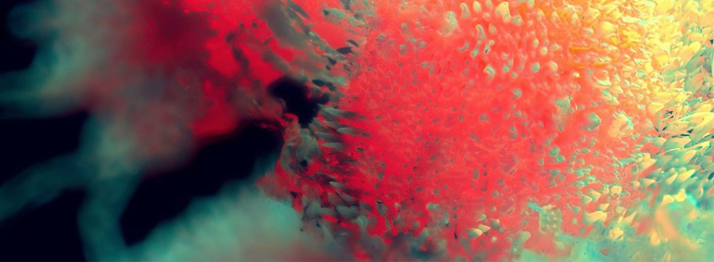 Solid Tumor Therapeutics