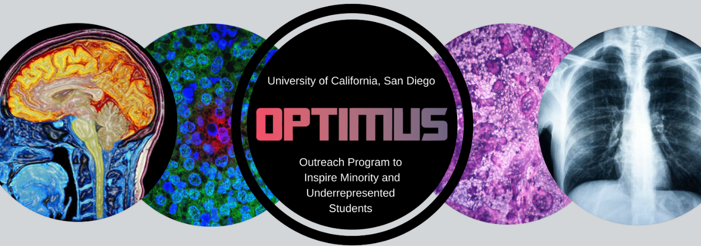 OPTIMUS-banner.png