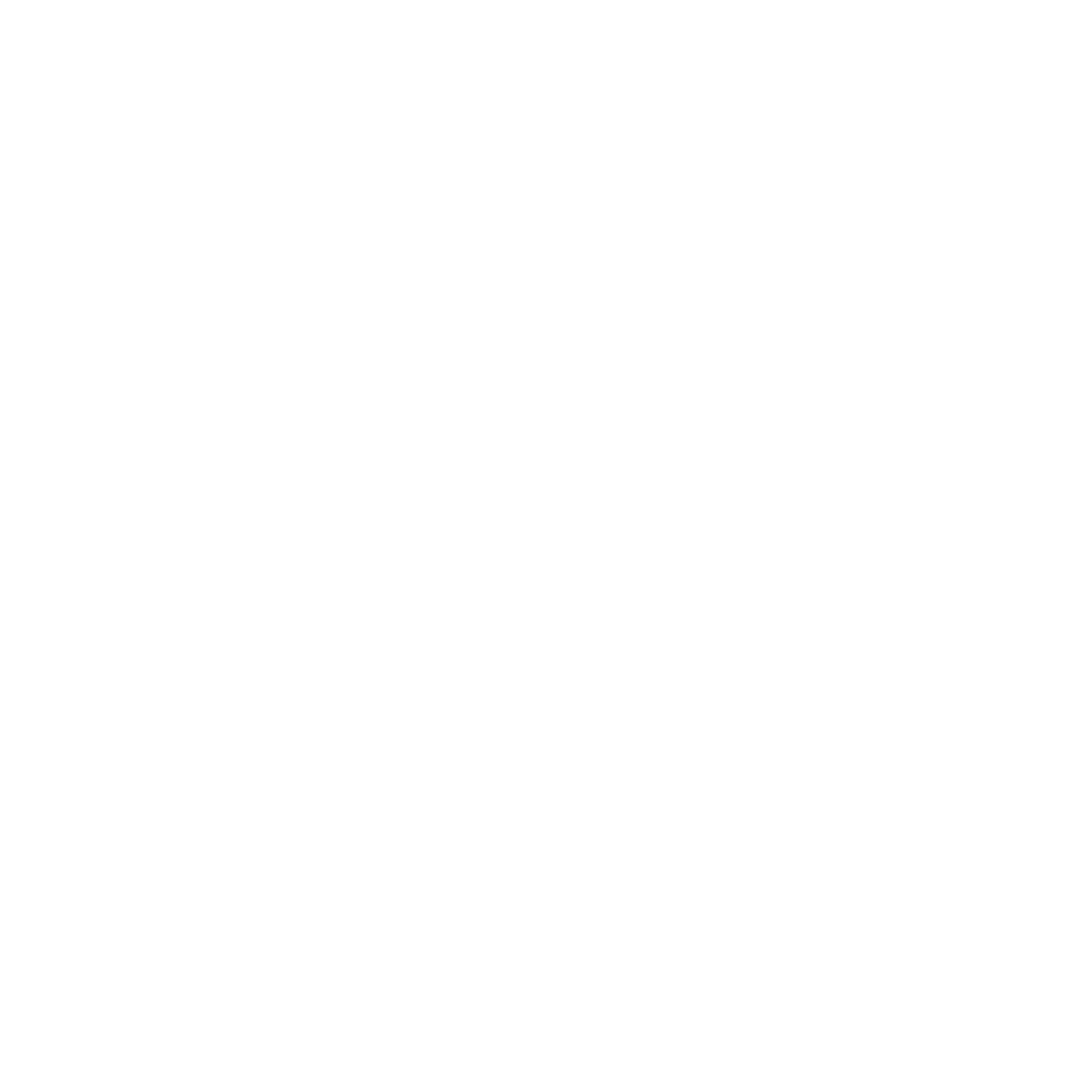 instagram-logo-white.png