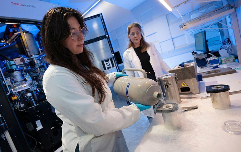 lab