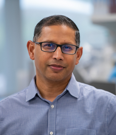Pandurangan Vijayanand, MD, PhD